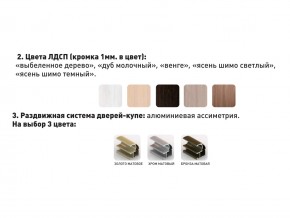 Шкаф-купе Акцент-Сим Д 1200-600 Дуб молочный в Ивделе - ivdel.magazinmebel.ru | фото - изображение 4