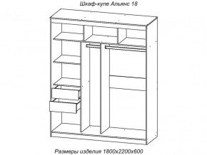 Шкаф-купе Альянс 18 комплект зеркал №4 в Ивделе - ivdel.magazinmebel.ru | фото - изображение 2